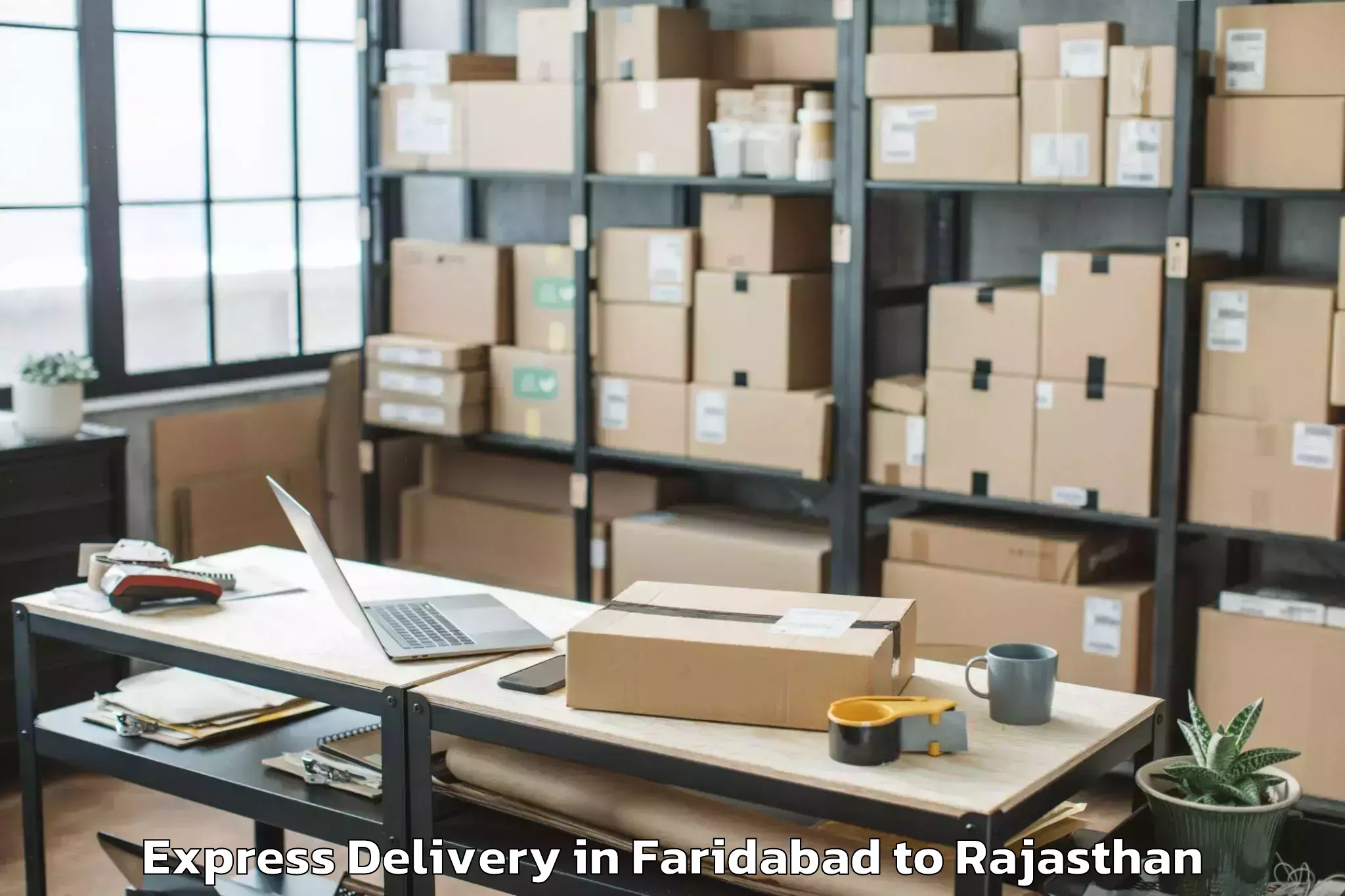 Affordable Faridabad to Abhilashi University Udaipur Express Delivery